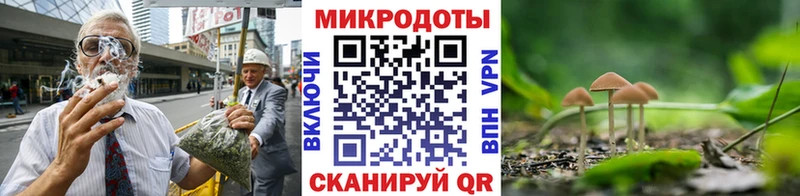 Купить закладки  Кирс  Галлюциногенные грибы MAGIC MUSHROOMS 
